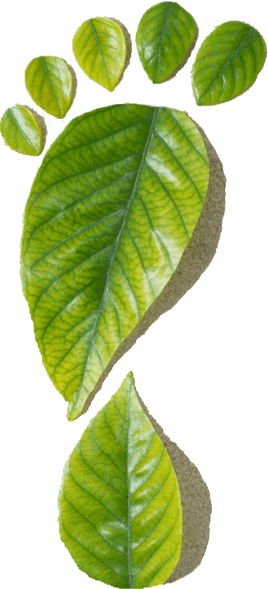 leaffoot