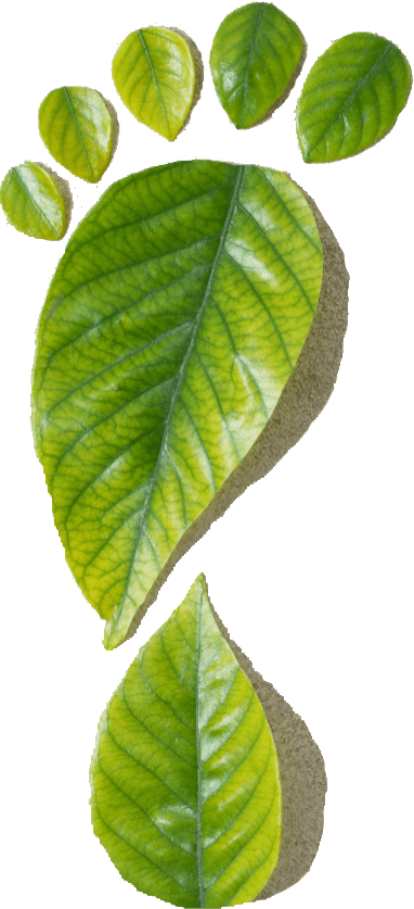 leaffoot